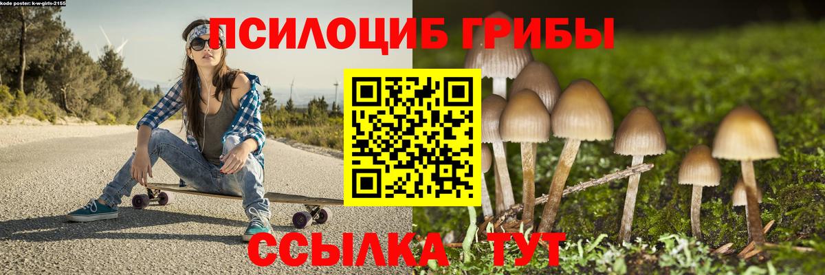 Галлюциногенные грибы Psilocybe  Вход с VPN  Городец  Псилоцибиновые грибы Magic Shrooms 
